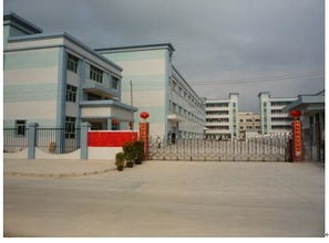 精準(zhǔn)計(jì)量，品質(zhì)先行——廣州市上博電子衡器與儀器儀表銷售服務(wù)